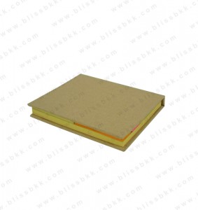 BL-PI306
