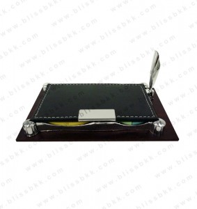 BL-PI310